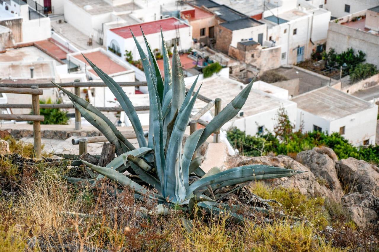 Nijar Bella Y Su Parque Natural Cabo De Gata Eksteriør bilde